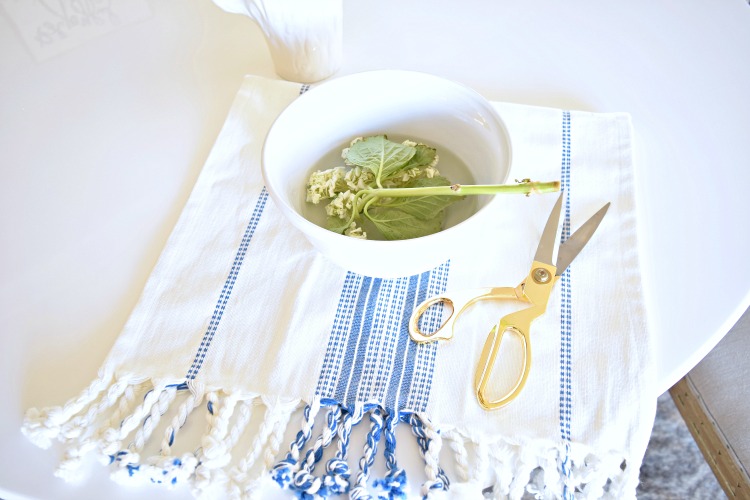 soaking hydrangea stem