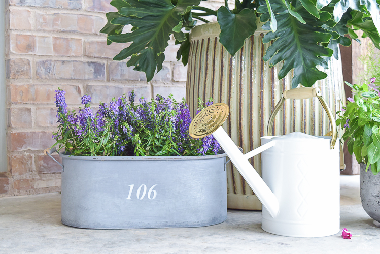 purple flowers white and brass watering can