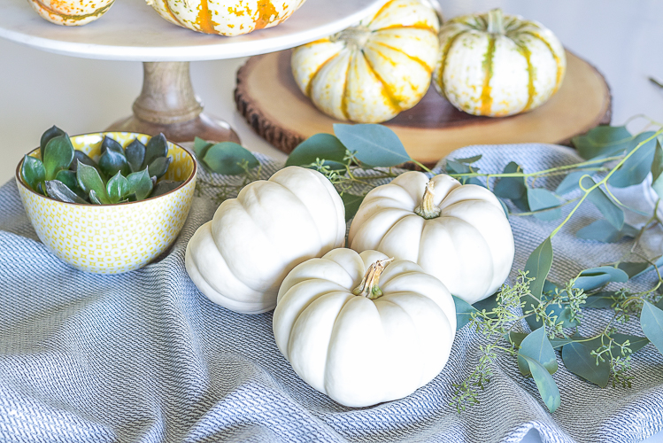 diy-pumpkin-succulent-tutorial-decorating-with-white-pumpkins-1