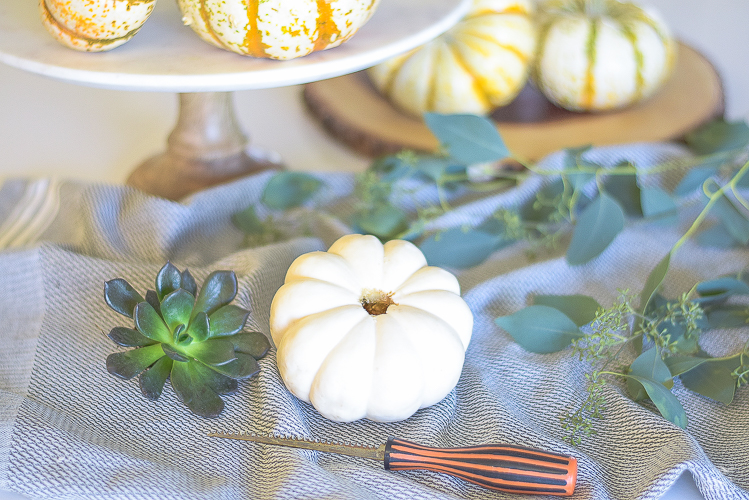 diy-pumpkin-succulents-1