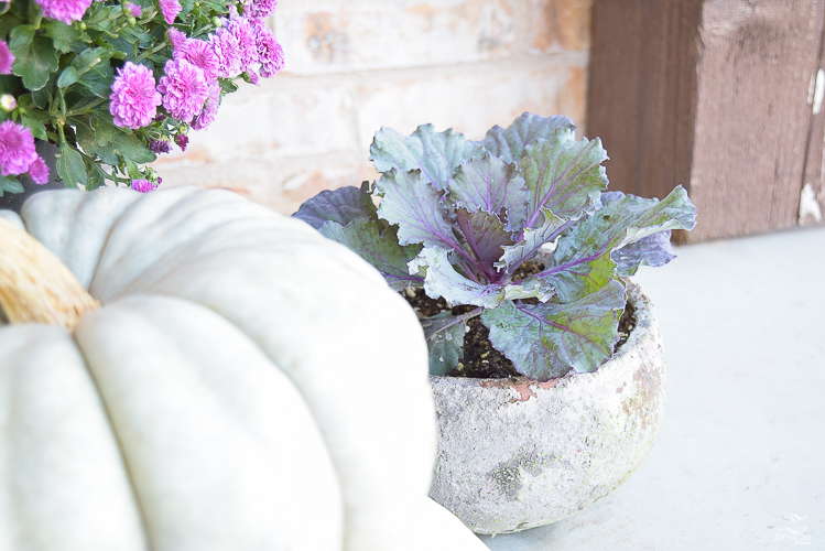 fall-front-porch-fall-flowers-mums-black-planters-mission-style-door-sherwin-williams-exterior-paint-color-mortor-washed-brick-outdoor-bench-monogrammed-coir-door-mat-10