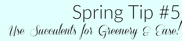 spring updating tips real and faux succulents