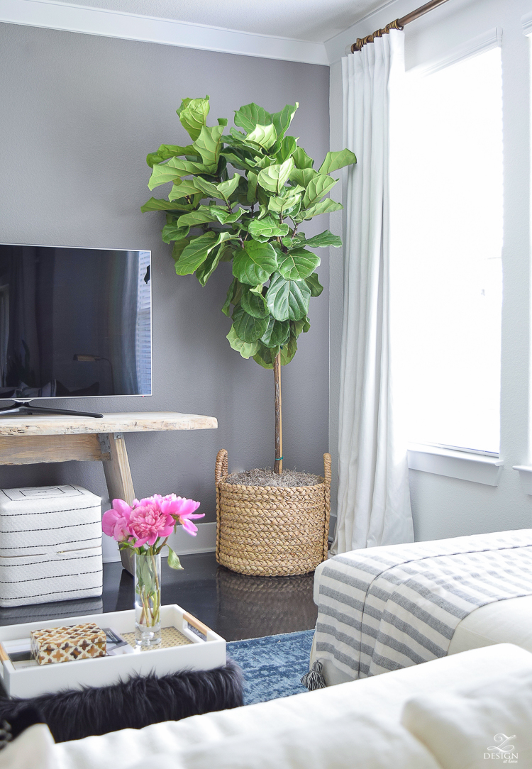 tv wall fiddle leaf fig in basket toulouse ottoman cubes black and white gold bamboo lamp blue vintage inspired rug gray accent wall summer home tour -5