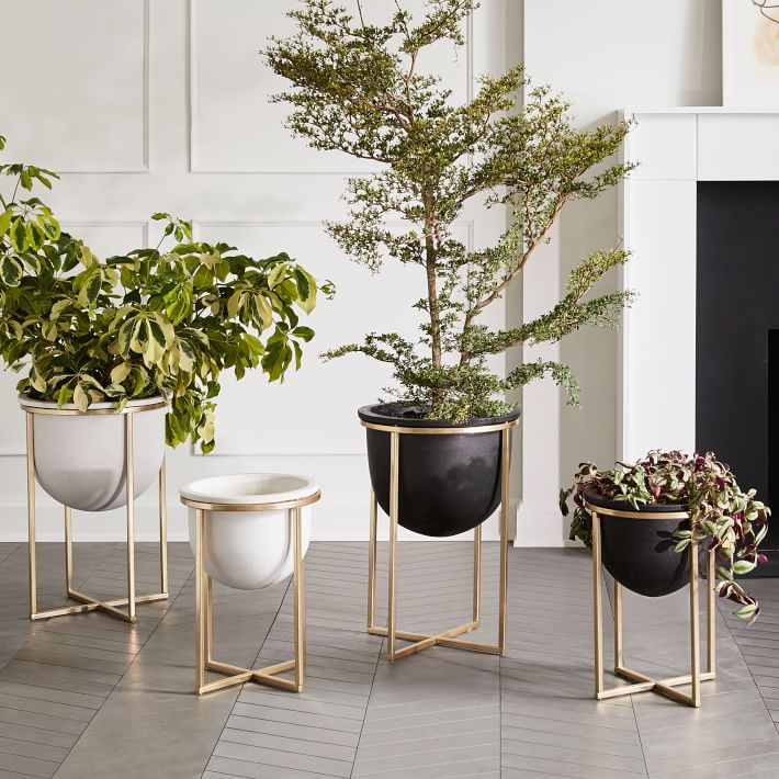 Concrete modern metal planters with brass legs