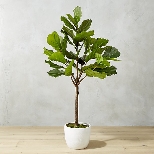 The Best Faux Fiddle Leaf Fig - Faux Fig Reviews