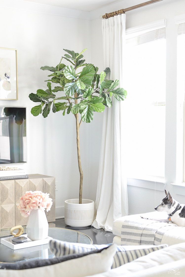 The best faux fiddle leaf fig tree - World Market Friends & Family Sale