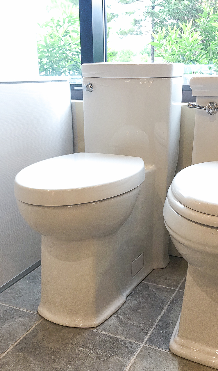 DXV American Standard Modern Toilet - One piece toilet