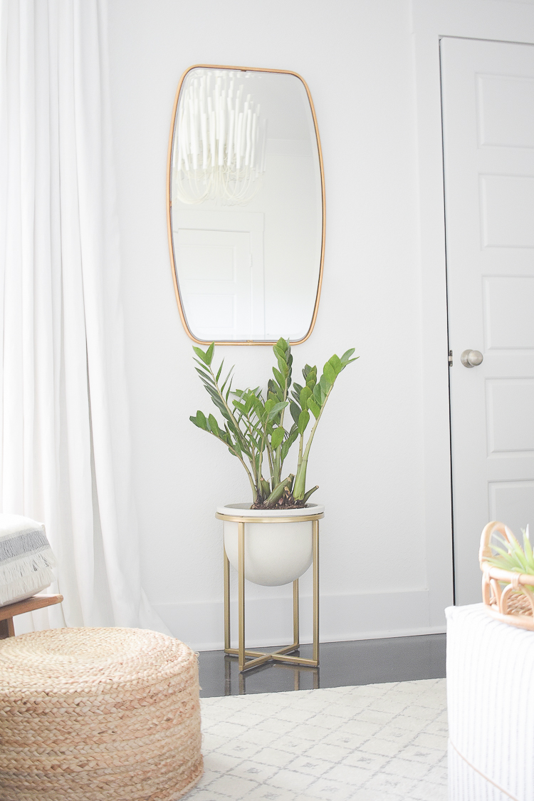 Styled for the season spring tour - modern house plant