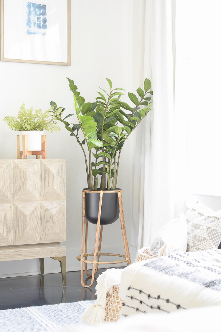 Small space, big style solutions - faux Zamiifolia Tree