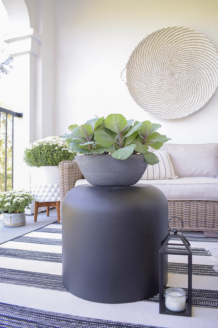 A Cozy Modern Fall Patio Tour - Flowering Kale in faux cement pot