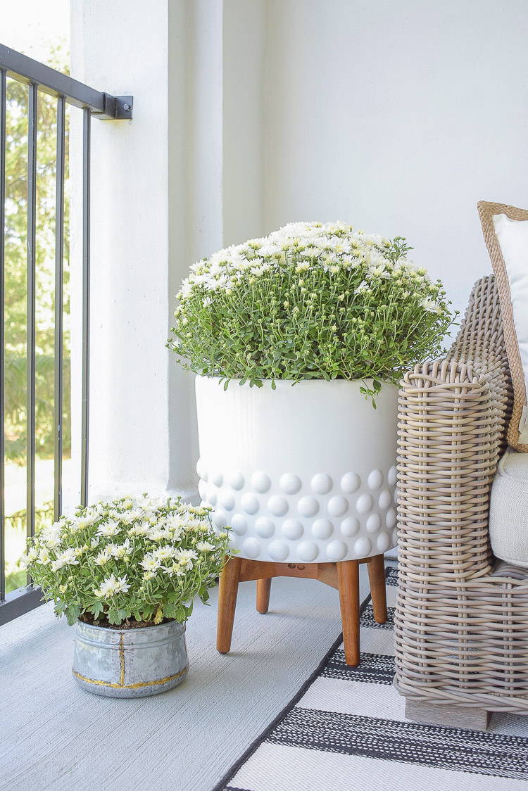 A Cozy Modern Fall Patio Tour - White dotted pot, galvanized small pot