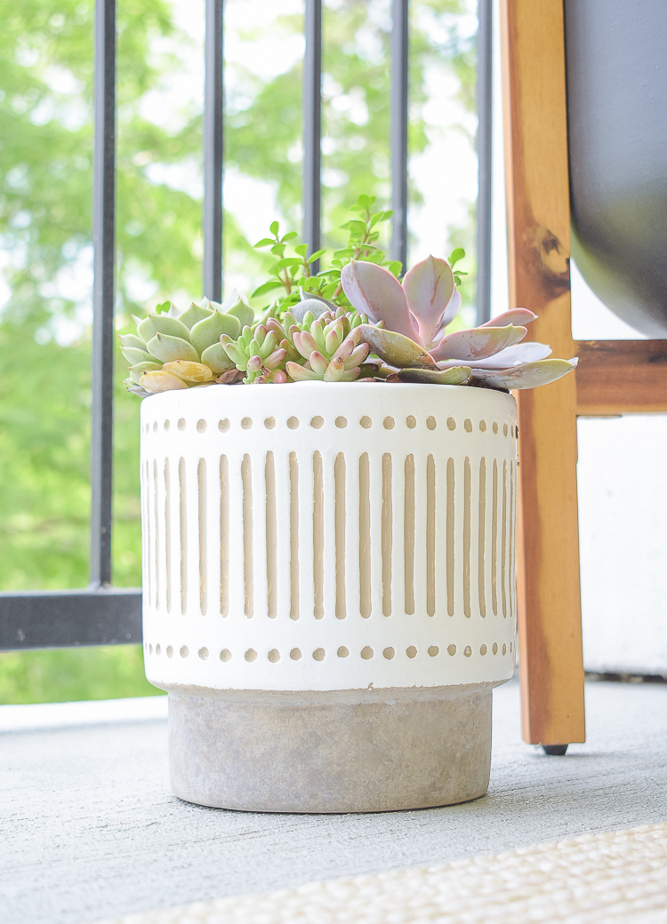 Modern white live succulent pot 