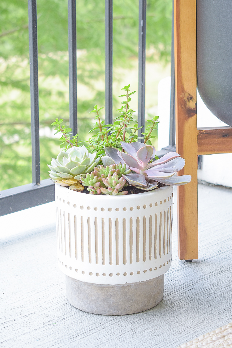 How to style a succulent pot - small white modern planter 