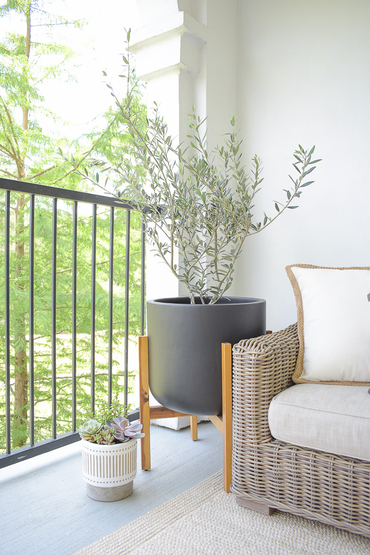 Real olive tree in modern black planter with wooden stand on modern patio refresh