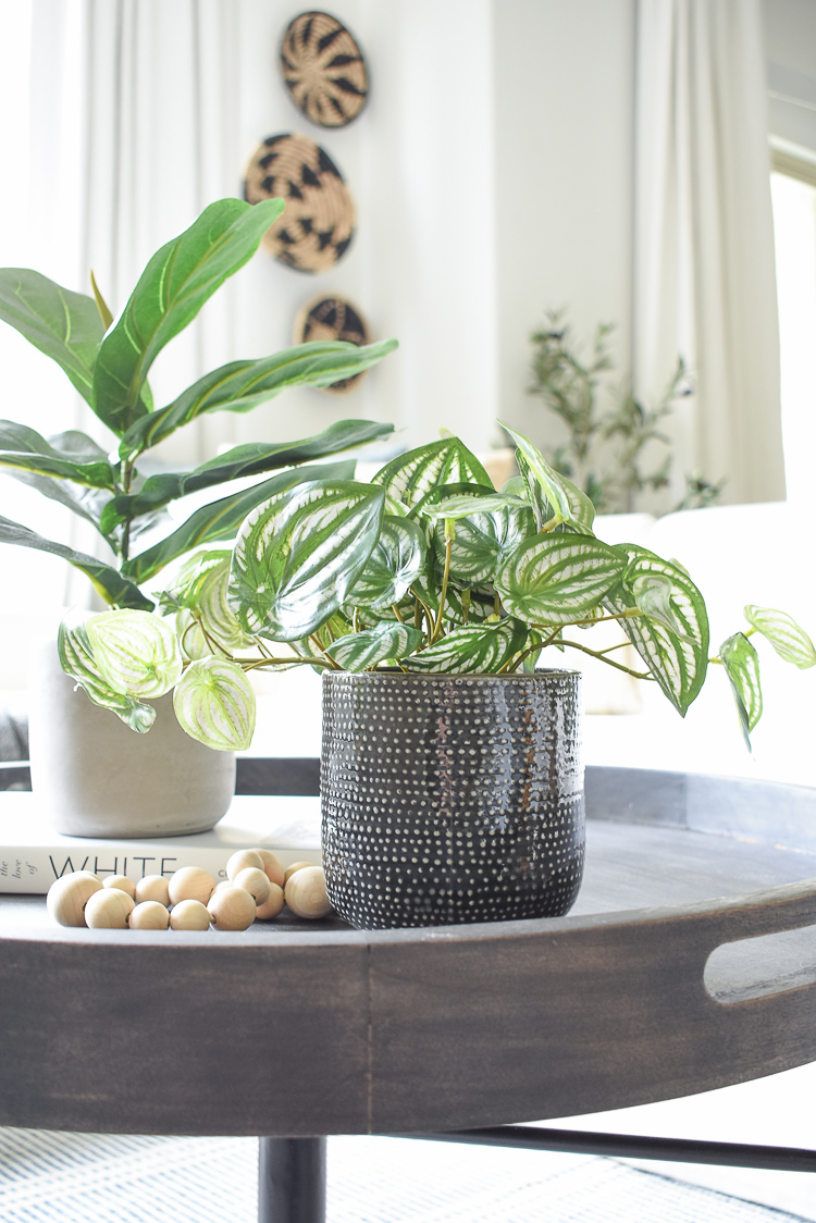 Best faux house plants - peperomia in small black ceramic pot