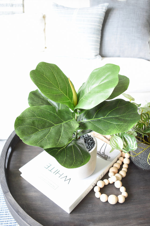 Best Modern Faux House Plants Where to Buy + How to Style Them