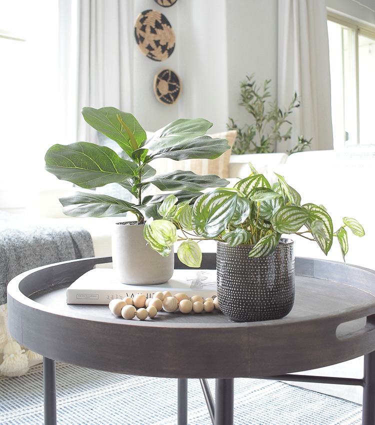 Best Modern Faux House Plants – Where to Buy + How to Style Them