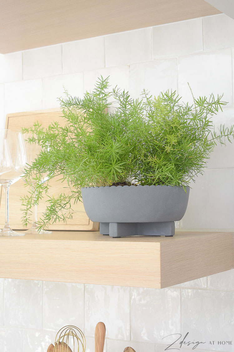 gray scalloped pop on open shelves in kitchen